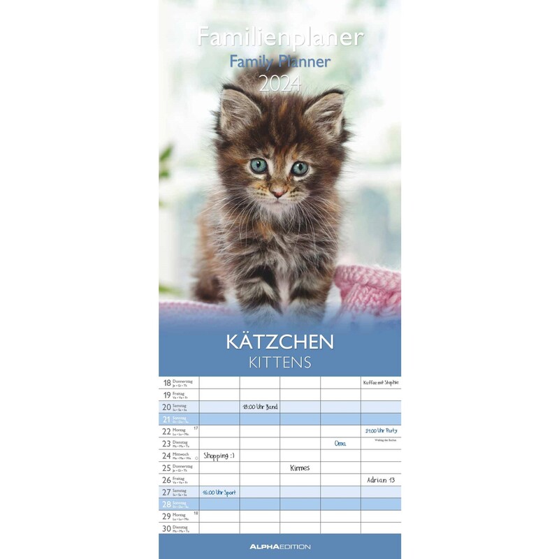 calendrier familial 2024 chaton, 1 mois / page 