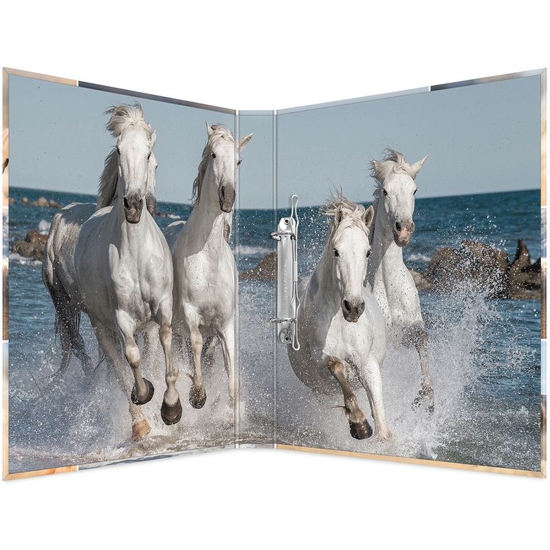 Herma classeur chevaux, A4, 3.5 cm - 4008705194297_02_ow