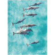 Schüleragenda 2025/26 My Diary, Animal