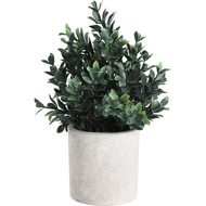Kunstpflanze Chitose, 23 cm