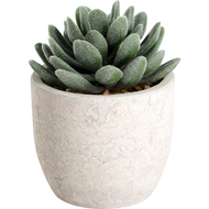 plante artificielle Chitose, 11 cm