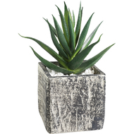 plante artificielle Chitose, 13 cm