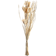 Trockenblume, 100 cm