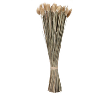 Trockenblume, 45 cm