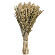 Trockenblume, 45 cm