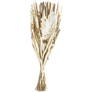 Trockenblume, 60 cm