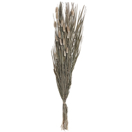 Trockenblume, 90 cm