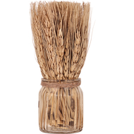 Trockenblume Caraquet, 18 cm, mit Vase