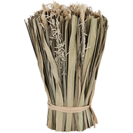 Trockenblume Caraquet, 25 cm