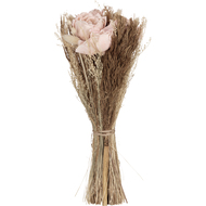 Trockenblume Caraquet, 30 cm