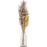 Trockenblume Caraquet, 36 cm, mit Vase