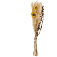 Trockenblume Caraquet, 45 cm