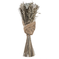 Trockenblume Caraquet, 50 cm