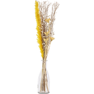 Trockenblume Caraquet, 56 cm, mit Vase