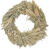 Trockenblume, Ø25 cm
