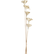 Trockenblume Senneterre, 60 cm