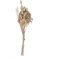 Trockenblumen-Strauss Caraquet, 55 cm