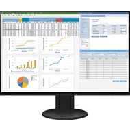 Monitor EV2457-Swiss Edition