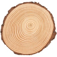 Disque en bois de pin