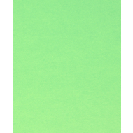 I AM CREATIVE Seidenpapier, 50 x 70 cm, lindengrün, 6 Bogen - 7611983202201_02_ow