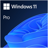 Windows 11 Pro ESD, 64 bit