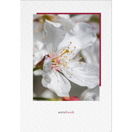 Crushpaper Foto Notizbuch