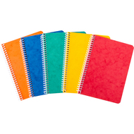 Professional Cahier à spirale