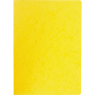 Professional Carnet de notes
