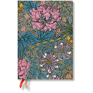 Agenda scolaire 2025/26 midi, Morris Hecke, couverture dure