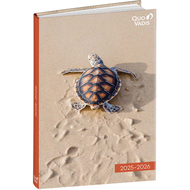 Schüleragenda 2025/26 Eurotextagenda Schildkröte