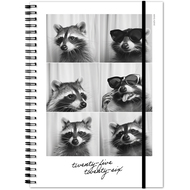Schüleragenda 2025/26 Emotions Racoon , A5