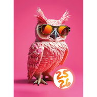 Schüleragenda 2025/26 Feelings Owl