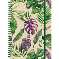 Schüleragenda 2025/26 Graspapier Jungle , A5