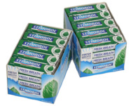 Chewing-gum Spearmint, 14 g