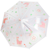 Regenschirm