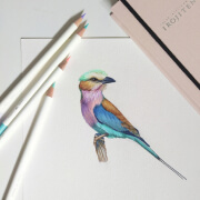 Von Hand gezeichneter Vogel mit Tombow Produkten