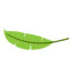 Grünes Palmenblatt