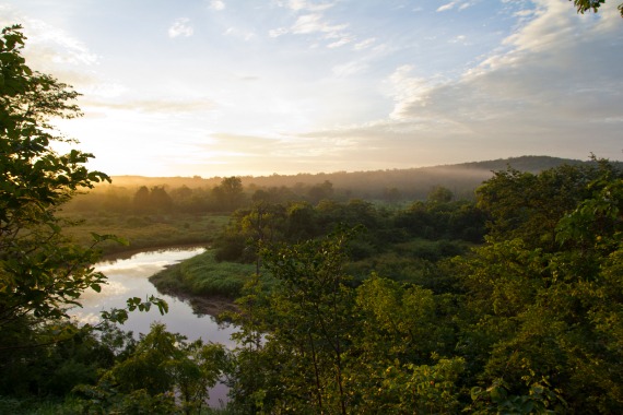 Ein Waldstück mit Fluss, das im Rahmen des Kariba Waldschutz Projekts in Simbabwe geschützt wird.