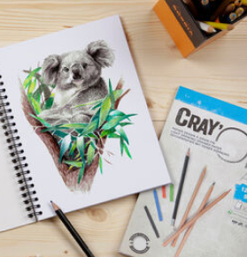 Koalabär in Malblock gezeichnet