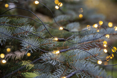 Lichterkette an Weihnachtsbaum