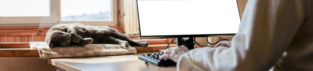 Frau sitzt im Homeoffice vor dem Computer, während die Katze auf dem Fenstersims liegt