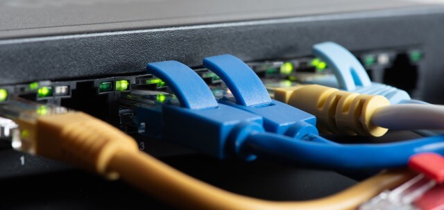 Mehrere Ethernet-Kabel stecken in einer Netzwerk-Switch